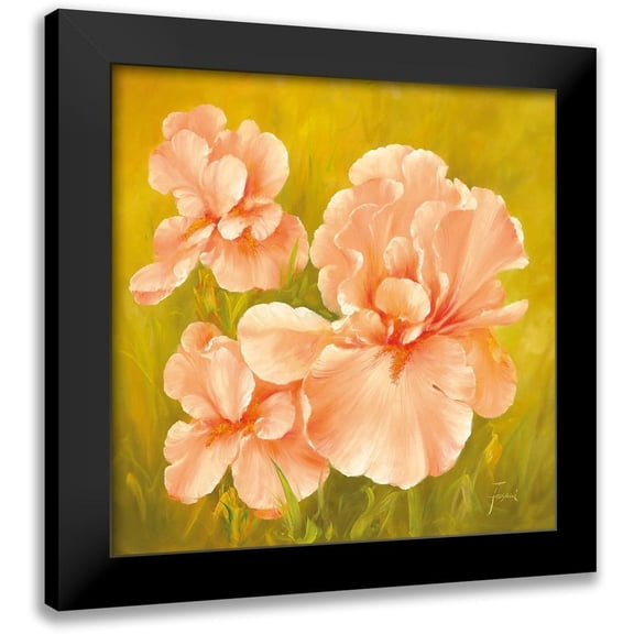 Fasani 12x12 Black Modern Framed Museum Art Print Titled - SUMMER FLAIR I
