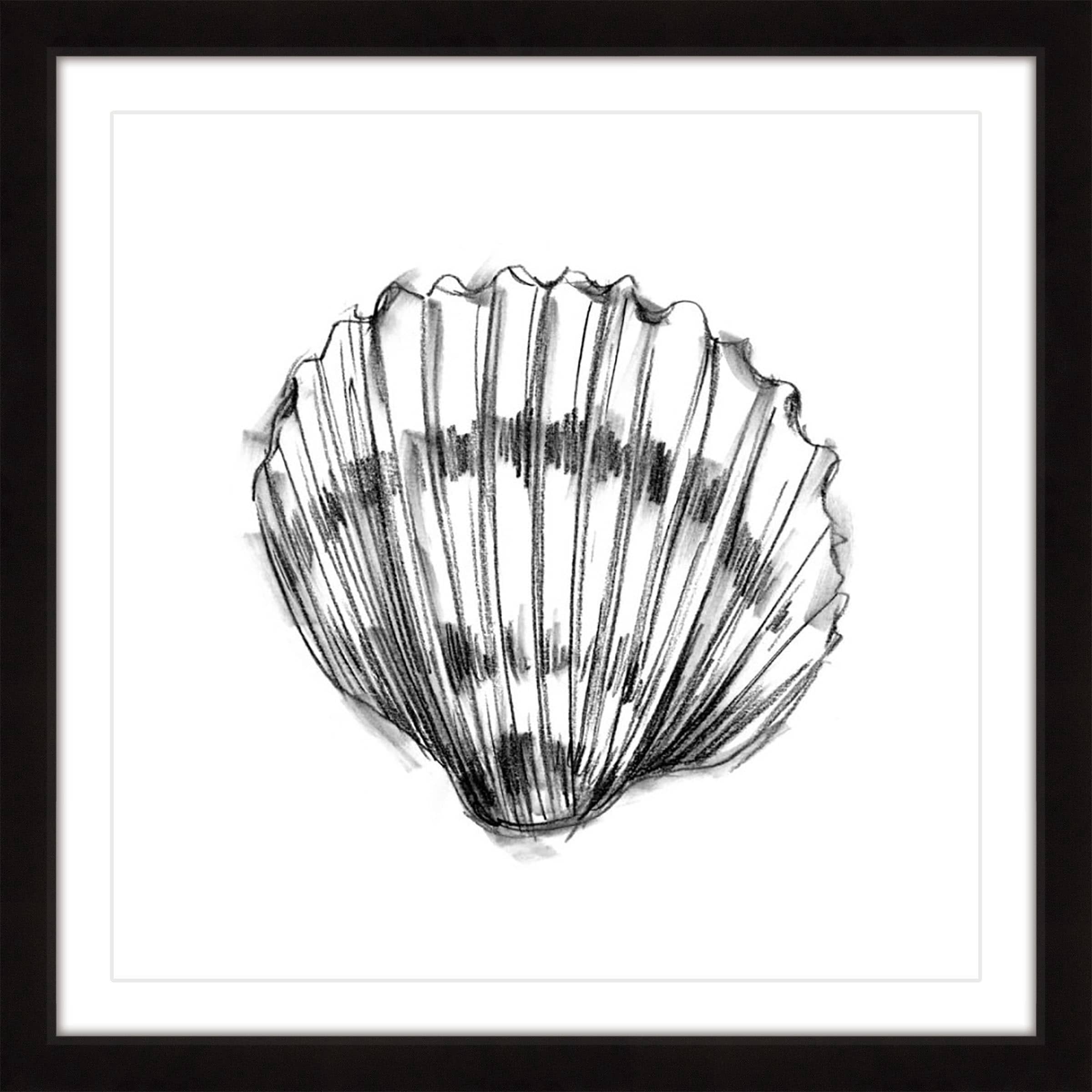 Marmont Hill "Shell Sketch VI" Framed Painting Print