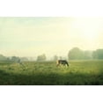 thumbnail image 2 of Schlabach, Sue 32x23 White Modern Wood Framed Museum Art Print Titled - Farm Morning I Square, 2 of 4