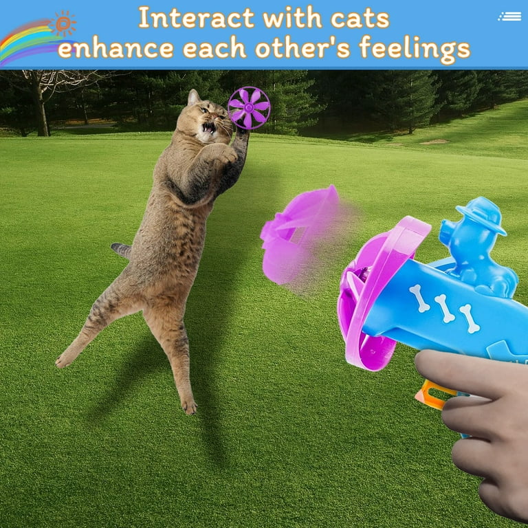 Cat Interactive Gun Toy 5 Color Flying Propeller for Cat Chase Hunting  Catch,24Pieces Cat Fetch Toy - Cat Tracks Cat Toy - Fun Levels of  Interactive Play -Cat Toys with 5 Colors