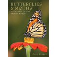 thumbnail image 1 of Pre-Owned Butterflies & Moths (A Portrait of the Animal World) (Paperback) 159764322X 9781597643221, 1 of 1