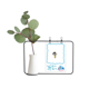 thumbnail image 1 of Hojas de la flor florero oro cotizacion Jarrones colgantes de vidrio transparente Decoración Botella, 1 of 4