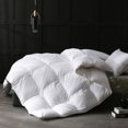 thumbnail image 1 of APSMILE King Size Heavyweight Feathers Down Poly Cotton Comforter, White, 1 of 9