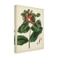 thumbnail image 2 of Vision Studio 'Antique Foliage and Fruit IV' Canvas Art, 2 of 3