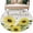 Yellow Grey, variant on Entryway Rug 2'x3', Sunflowers Small Rug for Kitchen Bathroom Door Mat Indoor Entrance, Retro Spring Botanical Blossom Flowers Bees Non-Slip Area Rugs Floor Mats Carpet Front Door Rugs
