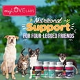 thumbnail image 4 of myLOVELABS Urinary Tract Support for Dogs and Cats. Support pet bladder and kidney. Perfect for renal system wellness., 4 of 4