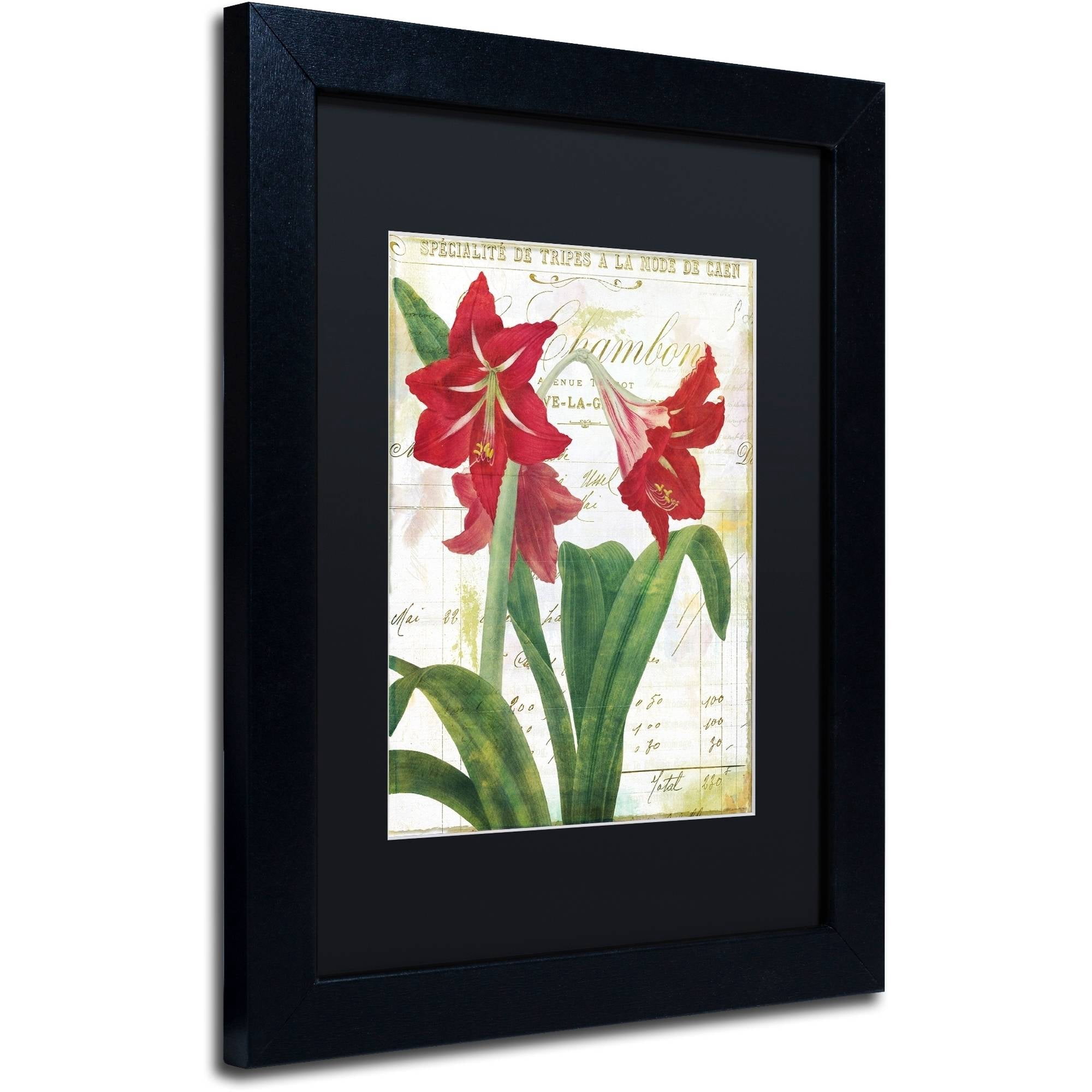 Trademark Fine Art "Peppermint Amaryllis" Canvas Art by Color Bakery Black Matte, Black Frame