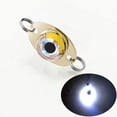 thumbnail image 1 of LED Underwater Fishing Lures，LED Lighted Bait Flasher，Deep Drop Fishing Lures，Fish Eye Attractive Light Bait Lure Lamp, 1 of 4