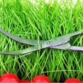 thumbnail image 2 of Professional Aquarium Fish Tank Aquatic Plants Cleaning Tools Pliers Scissors Long Scissors, 2 of 5