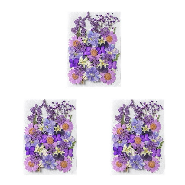 Ramos De Flores Secas Naturales Yuarrent Decoración Colorida Tipo 3