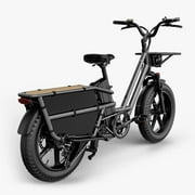 Fiido T2 Black Cargo Electric Bike Class 3 Long Tail Ebike 750W 20Ah Removable Battery E-Bike