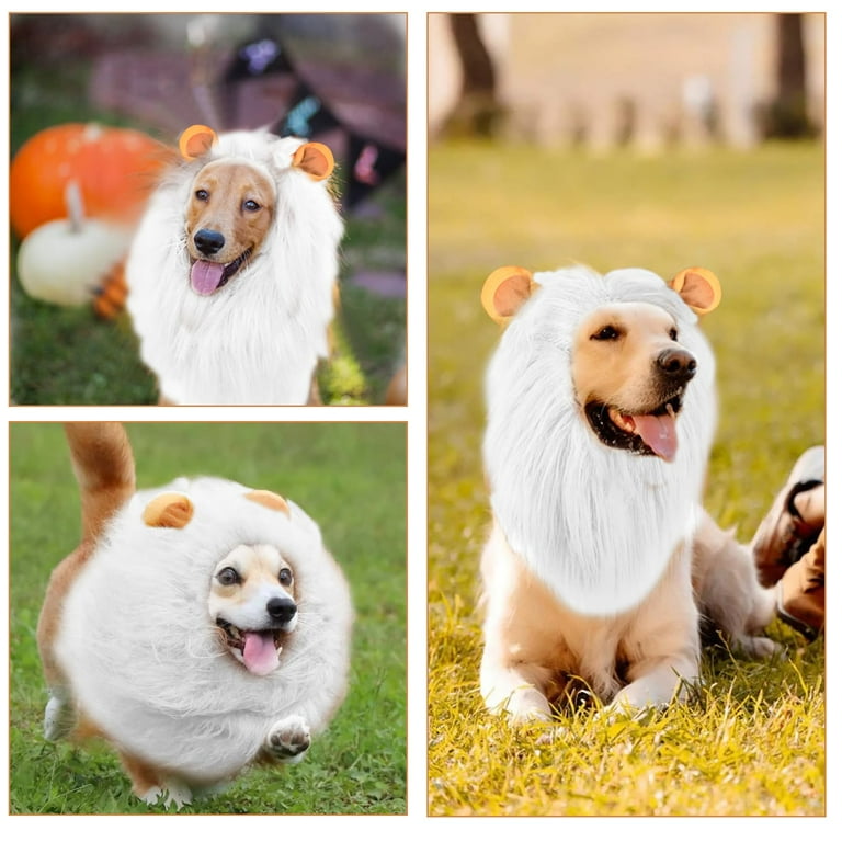 Costumes for giant breed dogs 2025