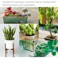 thumbnail image 6 of Smart LED Grow Light Bulbs for Gooseneck Clamp Light - Dimmable, Sun Mode Dimming, Auto On/Off Timer, Remote Control - Full Spectrum for Indoor Plant Growth - Mimics Real Sunshine, 6 of 6