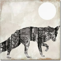 Trademark Fine Art "Going Wild VII" Canvas Art by Color Bakery