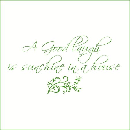 A Good Laugh is Sunshine in a House Vinyl Quote - Medium - Grass