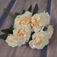 thumbnail image 1 of 7 Head Imitation Flower Carnation Silk Flower Mother's Day Teacher's Day Gift Home Decoration Wedding Handhold Flower Guide2pcs Gao Jinjia LED, 1 of 2