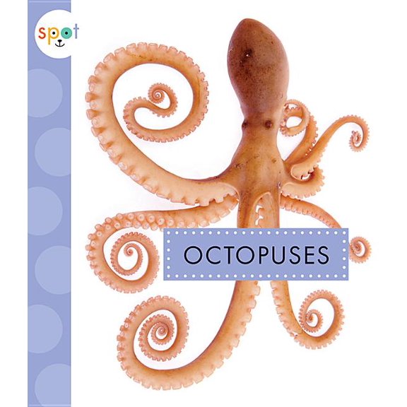 Spot Ocean Animals: Octopuses (Paperback)