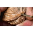 thumbnail image 2 of 1 Pcs 2.35mm Tige Poignée Droite Perceuse Travail du Bois Hss Perceuse 0.8mm, 2 of 8