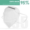 10 Pack Earloop Face Mask 4-ply