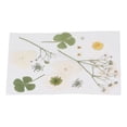thumbnail image 3 of Flores prensadas secas, marcapáginas de flores artesanales, flores naturales, fundas de teléfono, flores prensadas, especímenes de plantas de flores secas, 3 of 8