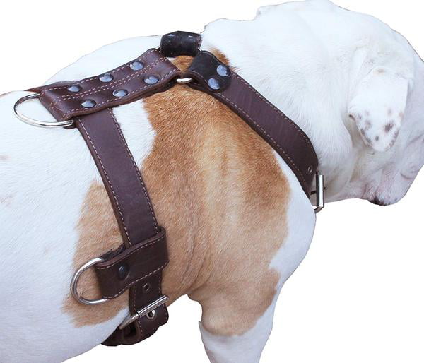 Genuine Leather Dog Harness Brown X-Large 33