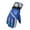Blue, variant on IROINNID Thermal Gloves for Men and Women Snowboarding Gloves Gloves Warm Ski Gloves Winter Windproof And waterproof Gloves,Red