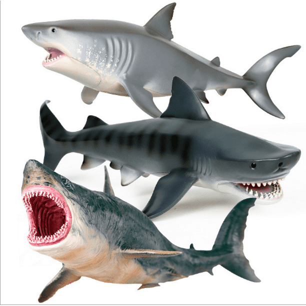 Megalodon Great White Shark Animal PVC Children Model Toy Collector