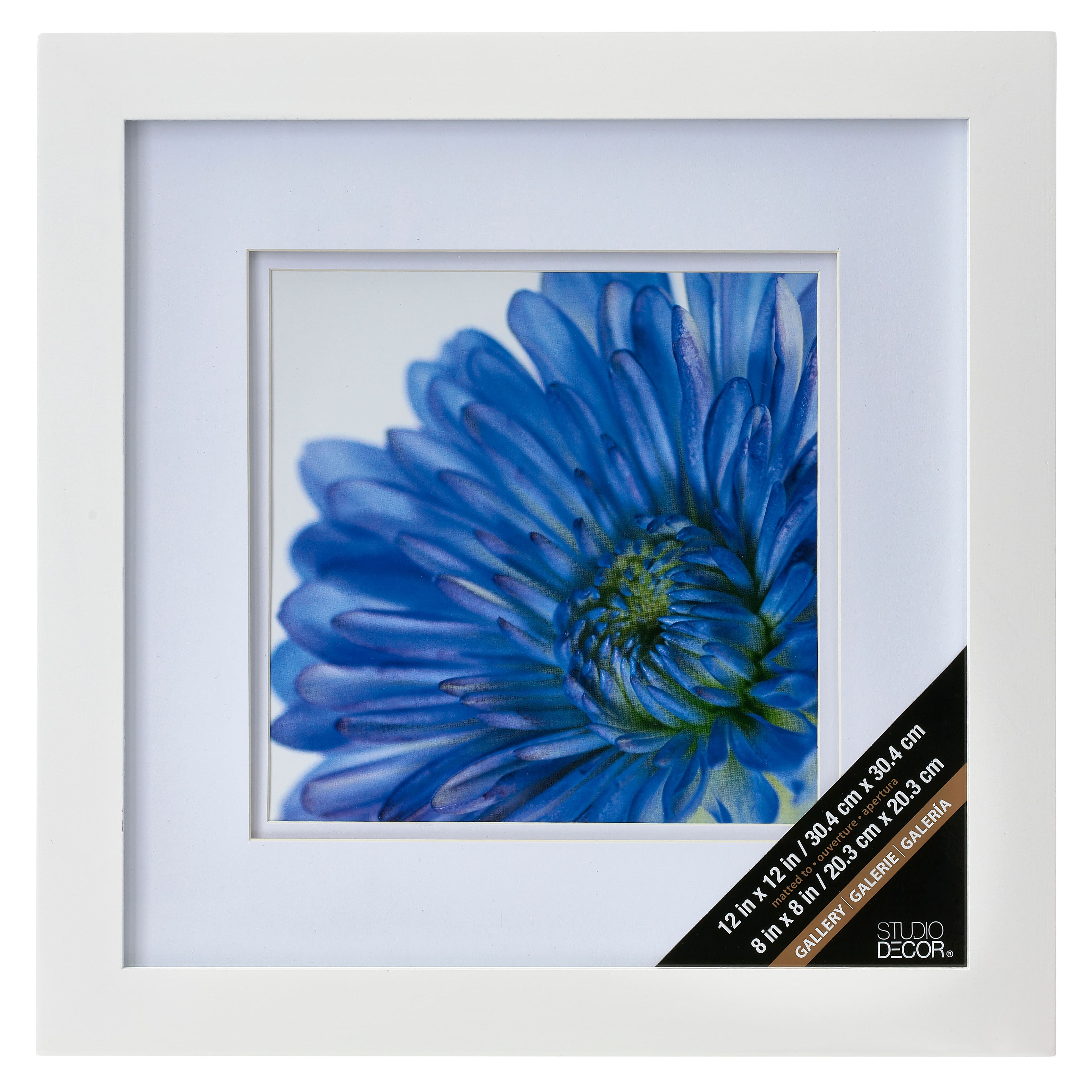 12 Pack: White Float 6 x 8 Frame, Expressions™ by Studio Décor®