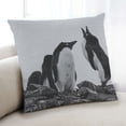 thumbnail image 1 of Ahgly Company Animals Penguin Coussin d'Intérieur, 18 Pouces par 18 Pouces, 1 of 6