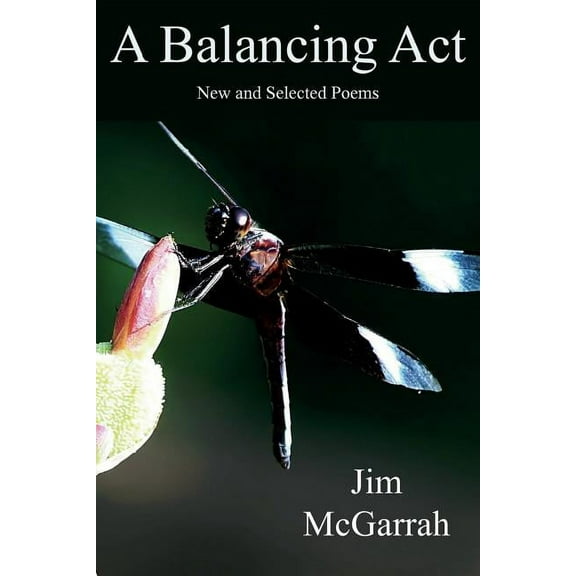 A Balancing ACT (Paperback)
