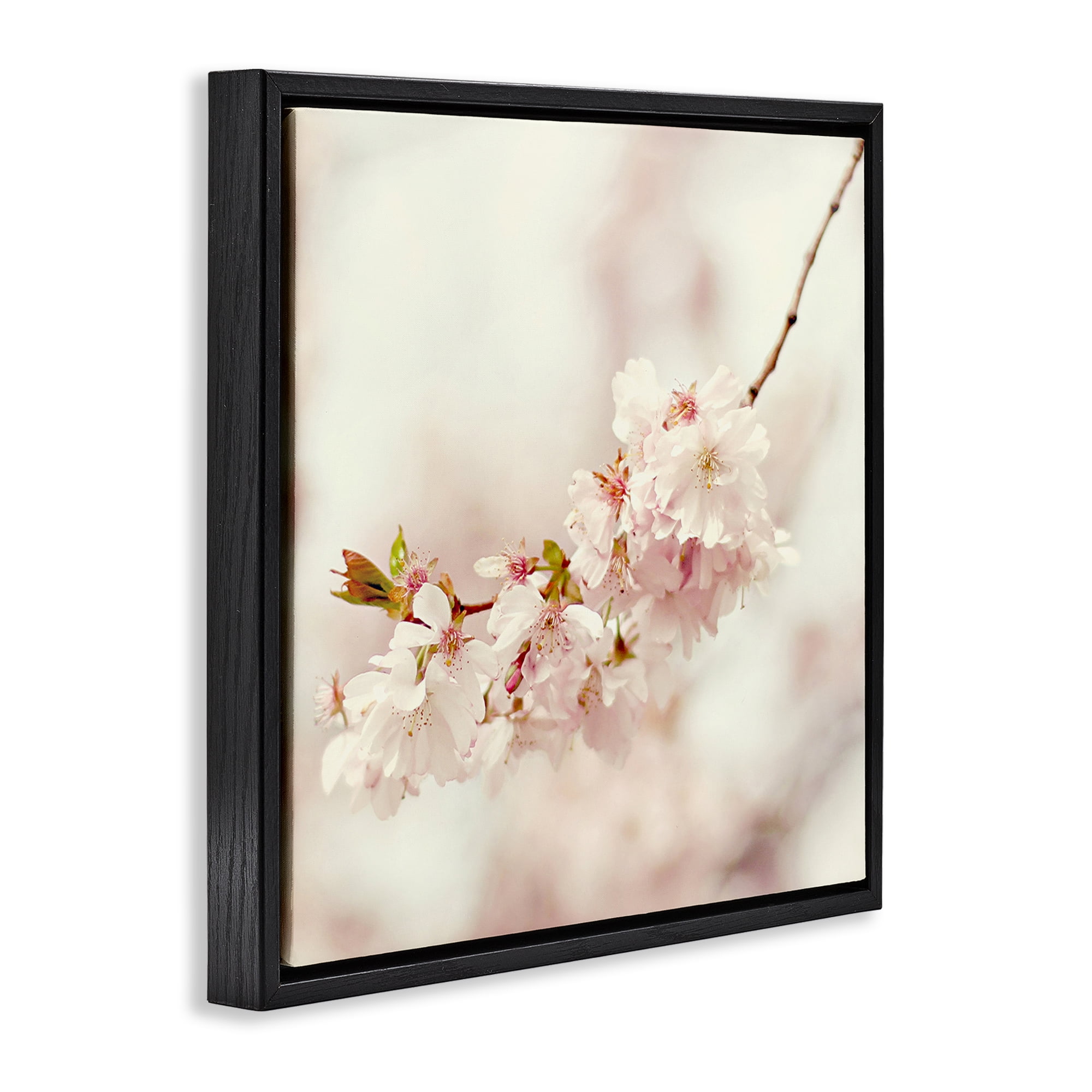 Stupell Industries Delicate Cherry Blossom Plants & Flowers Photography Black Floater Framed Canvas Art Print Wall Art, 18 x 18