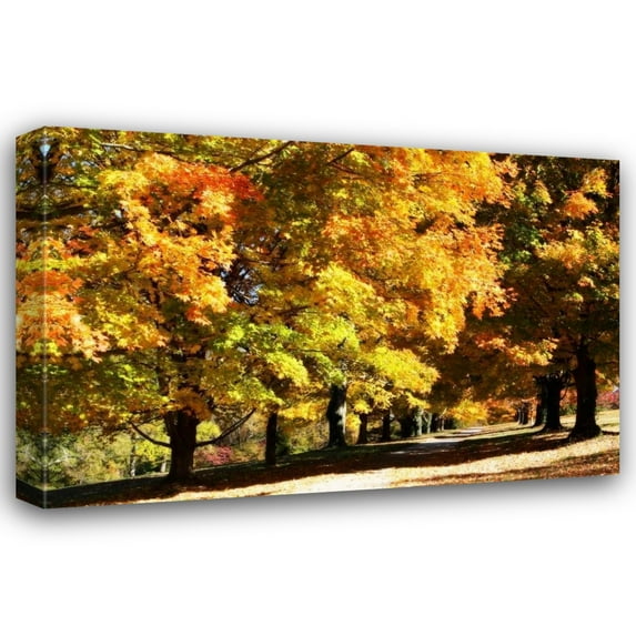 Alan Hausenflock 40x28 Gallery Wrapped Canvas Wall Art Titled - Sugar Maples I