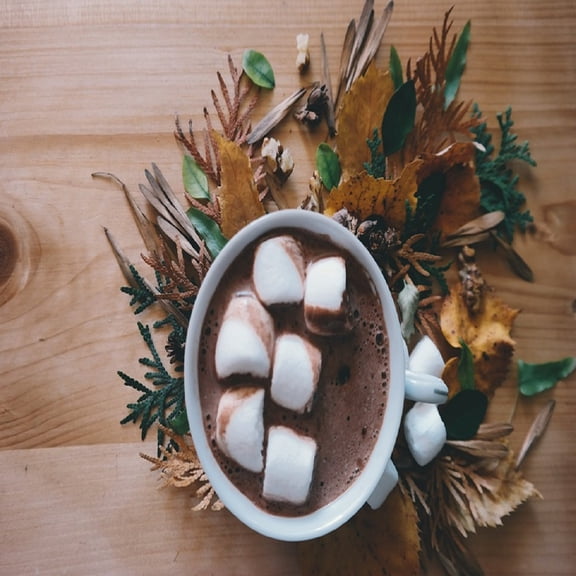 Hot Chocolate 16 oz Bottle for Candle Making, Soap Making, Tart Making, Room Sprays, Lotions, Car Fresheners, Slime, Bath Bombs, Warmers