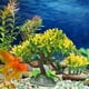 thumbnail image 5 of Plantas de Agua Artificiales de Acuario Guapo, Plantas de Agua de Simulació de Peces, Resina para Peces de Acuario, 5 of 7