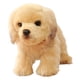 thumbnail image 3 of Muñeco de peluche de perro, juguete suave para perro, adorable y tierno cachorro de peluche Cabello Dorado, 3 of 9