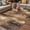 Brown, variant on Brown Abstract Outdoor Rug for Patio/Deck/Porch, Non-Slip Large Area Rug 4 x 6 Ft, Vintage Geometric Gradient Oil Painting Modern Indoor Outdoor Rugs Washable Area Rugs, Camping Rug Carpet Runner