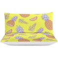 thumbnail image 3 of HAHDAXIA Pineapple Fruit Pattern Bedding Solid Comforter Set for All Seasons,3 Pieces(1 Comforter+2 Pillowcases),Soft Microfiber Bedding Set King(90"x90"), 3 of 7