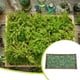 thumbnail image 5 of Injueey Musgo Artificial de flores preservadas, Color sólido sintético, reemplazo de bricolaje de larga duración, liquen de césped, accesorio de Plantas Artificiales Verde claro Injueey HA084267-03, 5 of 6
