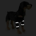 thumbnail image 3 of 1pair Dog Rear Leg Brace For Canine Leg Wounds Heals, Prevents Joint Injuries And Sprains, Pet Dog Joint Bandage, 3 of 4