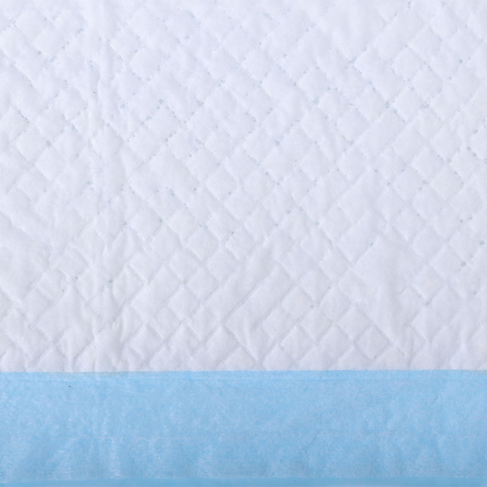 Puppy Pee Pads 50 Count Pet Pee Training Pads Disposable Pet Training Pads Super Absorbent & Leak-Proof, Medium Size