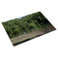 thumbnail image 3 of Print: Desoto State Park, Fort Payne, Alabama, 2010, 3 of 4