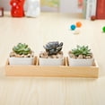 thumbnail image 3 of SPRING PARK Multi Grid Wooden Flower Pot Bonsai Planter Box Desktop Storage Holder Organizer, 3 of 7