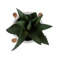 thumbnail image 2 of hometrends Parmalee Agave Ribbed White Pot, 2 of 9