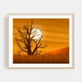 thumbnail image 2 of Sunset Through The Tree Silhouette - Digital Art Sunset Silhouette Desert Nature Scenic Autumn Minimalist Unframed Wall Art Print 18 x 24 inches, 2 of 9