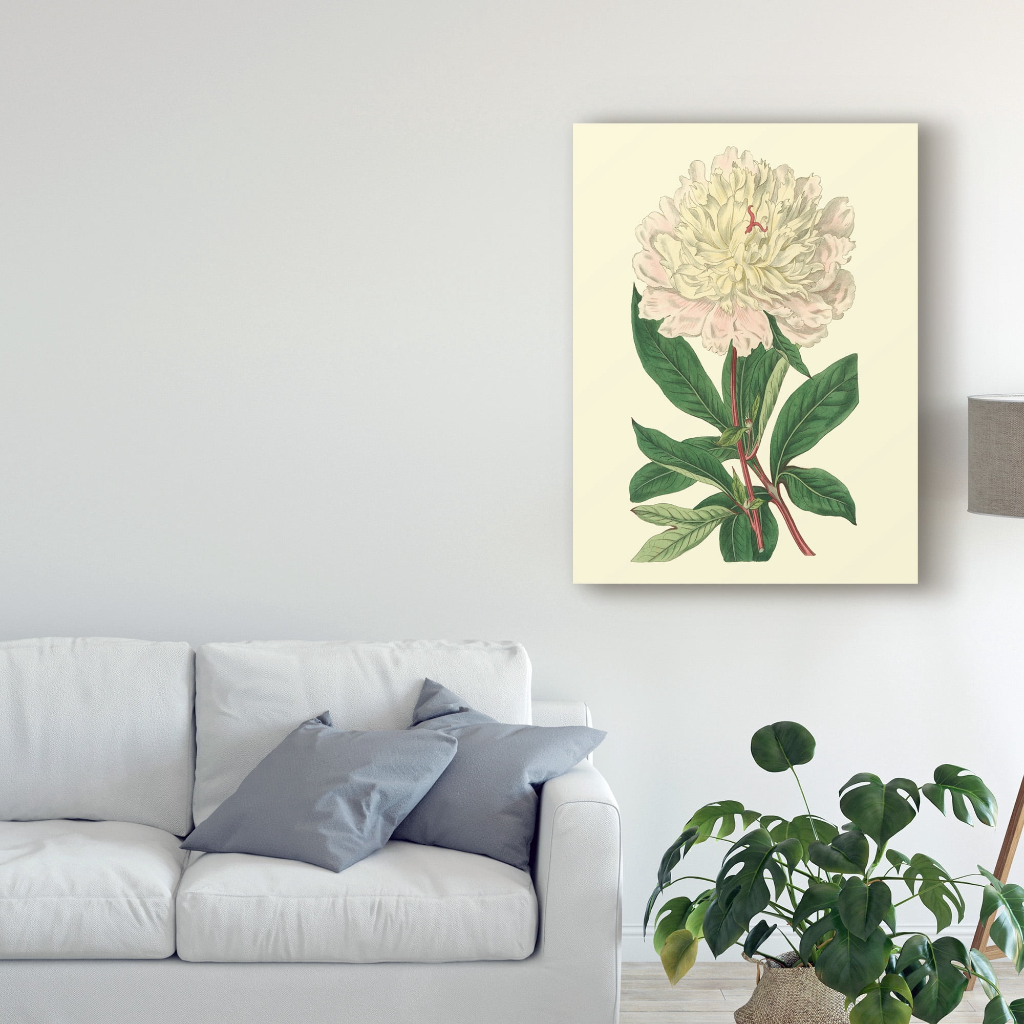 Trademark Fine Art 'Chinese Peony' Canvas Art by Sydenham Edwards