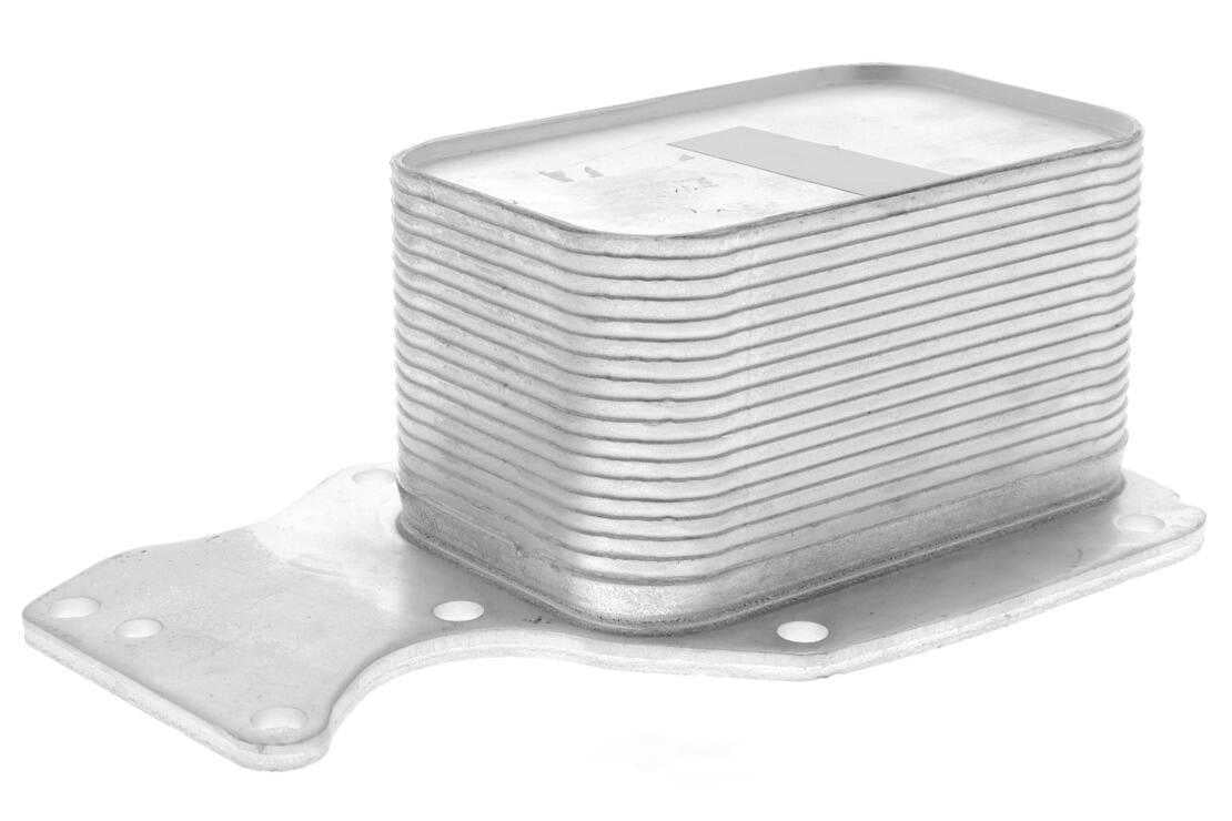VEMO V20-60-0055 Oil Cooler, engine oil