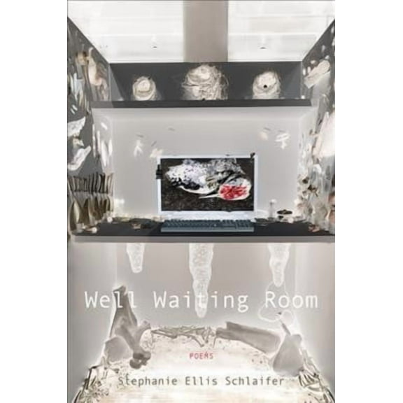 Poets Out Loud: Well Waiting Room (Paperback)