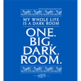 thumbnail image 2 of Beetlejuice My Whole Life Is A Dark Room Men's Blue Crew Neck Short Sleeve Tee-3XL, 2 of 7
