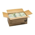 thumbnail image 5 of Simplot Broccoli Florets - 2 lb. poly wrap packages, 12 packages per case., 5 of 5