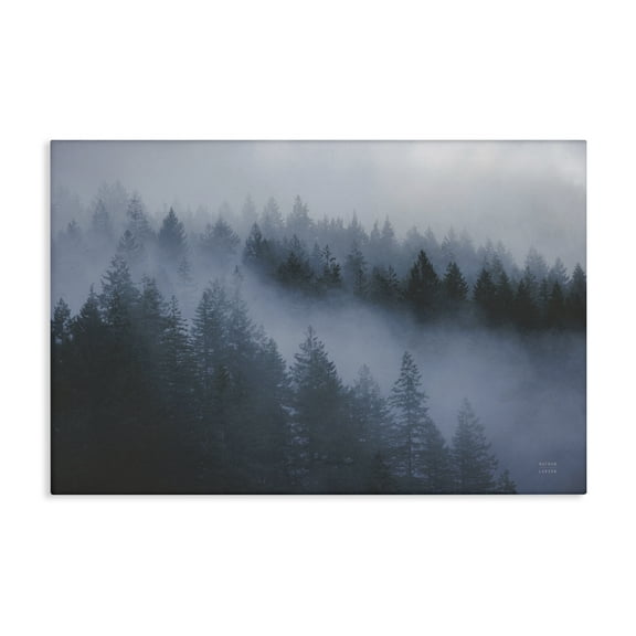 Stupell Industries Fog Filled Trees Landscape Landscape & Nature Photography Wrapped Canvas Art Print Wall Art, 24 x 16